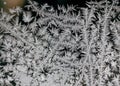 Frosty natural pattern at the hoarfrost covered window. Natural phenomenon concept.