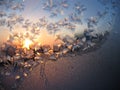 Frosty natural pattern and sun Royalty Free Stock Photo