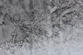 Frosty natural pattern on winter window glass macro Royalty Free Stock Photo