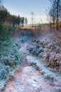 Frosty path