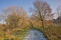 Frosty hiking trail through a sunny winter forest in the flemish countryside