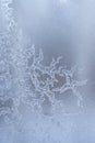 Frosty pattern in form of drawing of elongated ice crystals on frozen winter window.