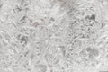 cold patterns on the glass Royalty Free Stock Photo