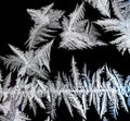 frosty patterns on the window glass on a dark background Royalty Free Stock Photo