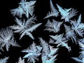 frosty patterns on the window glass on a dark background Royalty Free Stock Photo