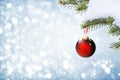 Frosty pine tree Christmas decoration Royalty Free Stock Photo