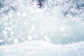 Frosty pine tree winter background Royalty Free Stock Photo