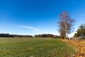 Frosty rural morning. Snowless winter in Czech countryside Royalty Free Stock Photo