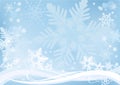 Frosty snowflakes Royalty Free Stock Photo