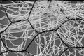 A frosty spider web - detail Royalty Free Stock Photo