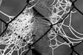 A frosty spider web - detail Royalty Free Stock Photo