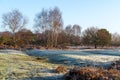 Frosty sunny day at Chailey Nature reserve in Sussex