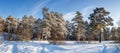 Frosty Sunny day in the Urals a forest with a frozen river, Russia