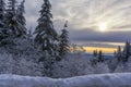 Frosty sunrise on Vitosha Mountain, Sofia, Bulgaria - beautiful winter landscape - first rays of sunlight over the fresh snow dust Royalty Free Stock Photo