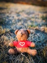 Frosty Tiny Teddy Bear Red Shirt and Heart