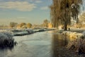 Frosty Tranquility : Winter Scenery at Bushy Park, Teddington Royalty Free Stock Photo