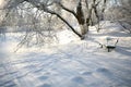 Frosty Tree On A Cold Sunny Winter Day. Bench with snow. Royalty Free Stock Photo