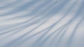 Frosty tree shadows cast across snow in a clear winter landscape with soft light Royalty Free Stock Photo