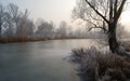 Frosty trees and backwater reflection in sunset time