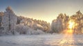 Frosty trees on sunrise with yellow sunlight in winter morning. Snowy winter landscape. Christmas background