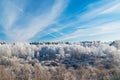 Frosty Trees under Blue Sky with Trail of the Plane