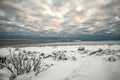 A frosty weather landscape of cloud covered sky and snow covered half frozen lake in northern Europe with pine trees Royalty Free Stock Photo