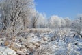 Frosty white winter landscape