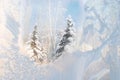 Frosty window