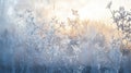 Frosty Windowpane with Sunlit Branches Royalty Free Stock Photo