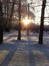 A frosty winter day with a bright sun