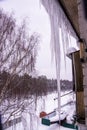 On a frosty winter day, large beautiful icicles hang from the snow-covered roof of the house. Snow on the roof.