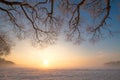 Frosty winter evening. Trees branches with frost on blue sky background.