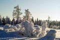 Frosty winter landscape with icy bushes Royalty Free Stock Photo