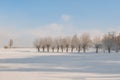 Frosty winter landscape of Podlasie