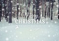 Frosty winter landscape in snowy forest. Christmas background with fir trees and blurred background of winter with text Royalty Free Stock Photo