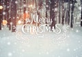 Frosty winter landscape in snowy forest. Christmas background with fir trees and blurred background of winter with text Royalty Free Stock Photo