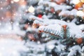 Frosty winter landscape in snowy forest. Pine branches covered with snow in cold winter weather. Royalty Free Stock Photo