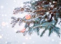 Frosty winter landscape in snowy forest. Pine branches covered with snow in cold winter weather. Christmas background with fir Royalty Free Stock Photo