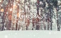 Frosty winter landscape in snowy forest. Xmas background with fir trees and blurred background of winter with text Royalty Free Stock Photo