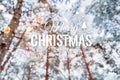 Frosty winter landscape in snowy forest. Xmas background with fir trees and blurred background of winter with text Merry Christmas Royalty Free Stock Photo