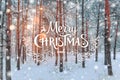 Frosty winter landscape in snowy forest. Xmas background with fir trees and blurred background of winter with text Royalty Free Stock Photo