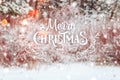 Frosty winter landscape in snowy forest. Xmas background with fir trees and blurred background of winter with text Royalty Free Stock Photo