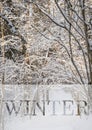 Frosty winter landscape in snowy forest. Xmas background with fir trees and blurred background of winter with text Winter Royalty Free Stock Photo