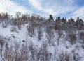 A frosty winter morning in a mountainous area with frozen nature and snow captivity. Royalty Free Stock Photo