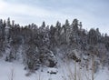 A frosty winter morning in a mountainous area with frozen nature and snow captivity. Royalty Free Stock Photo