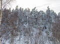 A frosty winter morning in a mountainous area with frozen nature and snow captivity. Royalty Free Stock Photo