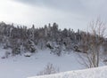 A frosty winter morning in a mountainous area with frozen nature and snow captivity. Royalty Free Stock Photo