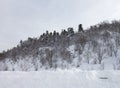 A frosty winter morning in a mountainous area with frozen nature and snow captivity. Royalty Free Stock Photo