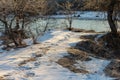 Frosty winter morning in nature, warm morning light on the background of snow, shrubs and trees in patterns of frost.