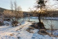 Frosty winter morning in nature, warm morning light on the background of snow, shrubs and trees in patterns of frost. Royalty Free Stock Photo